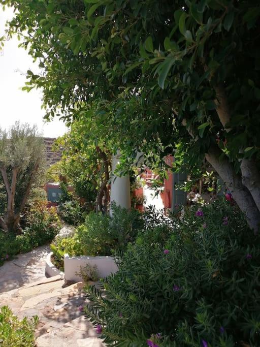 Casa Dei Melograni At Vourlidia Leros Villa Vromolithos Exteriör bild