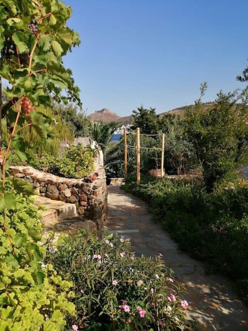 Casa Dei Melograni At Vourlidia Leros Villa Vromolithos Exteriör bild
